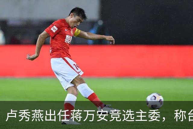 卢秀燕出任蒋万安竞选主委，称台北需要有能力、正派的市长