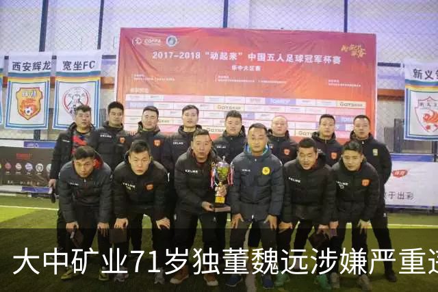 大中矿业71岁独董魏远涉嫌严重违纪违法，接受纪律审查和监察调查
