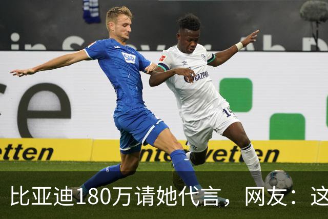 比亚迪180万请她代言，网友：这钱花得太值了