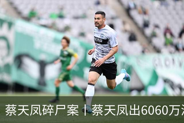 蔡天凤碎尸案丨蔡天凤出6060万港元买加多利山，邝球收697万港元置业回赠