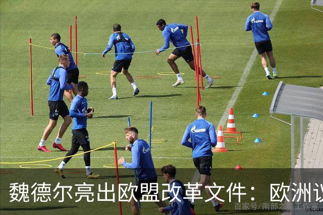 魏德尔亮出欧盟改革文件：欧洲议员不再直选，改由各国议会指派